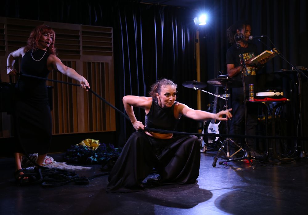 Climas Emocional Performance