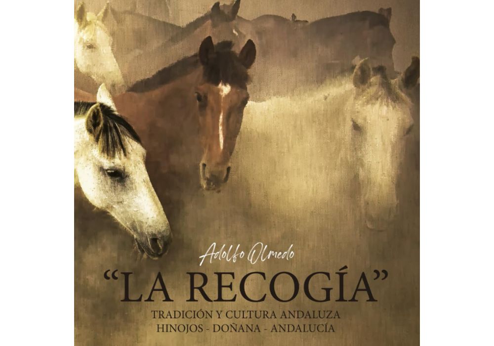 Presentación libro Recogía